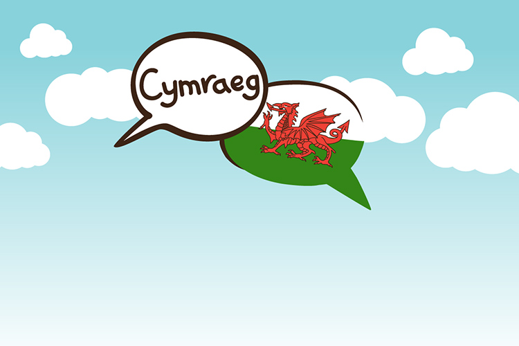 Welsh language use on Anglesey County Council responds to 2021 Census data