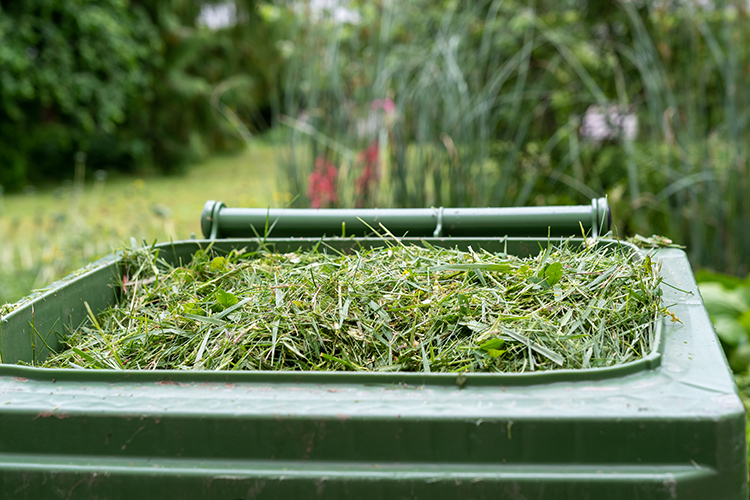 Green waste subscription for 2024 to 2025 now open